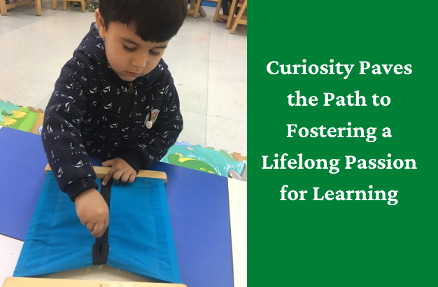 Curiosity Paves the Path to Fostering a Lifelong Passion for Learning